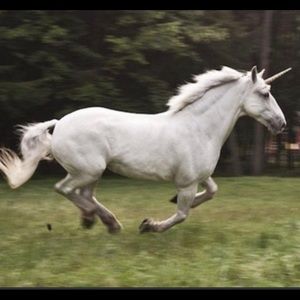 Meet your Posher, Niccole